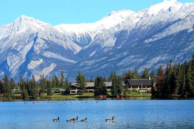 Scenic view of lake and snowcapped mountains