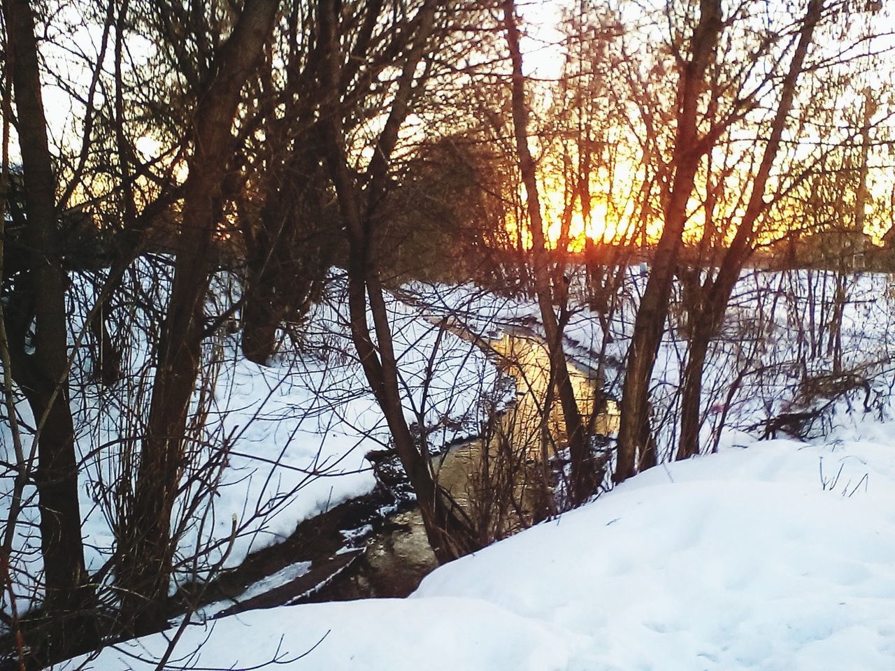 tree, tranquility, tranquil scene, water, scenics, beauty in nature, lake, branch, nature, bare tree, winter, snow, sunset, cold temperature, reflection, sky, season, sunlight, tree trunk, idyllic