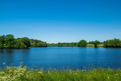 Scenic view of lake against clear blue sky