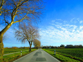 Road by trees on field against sky