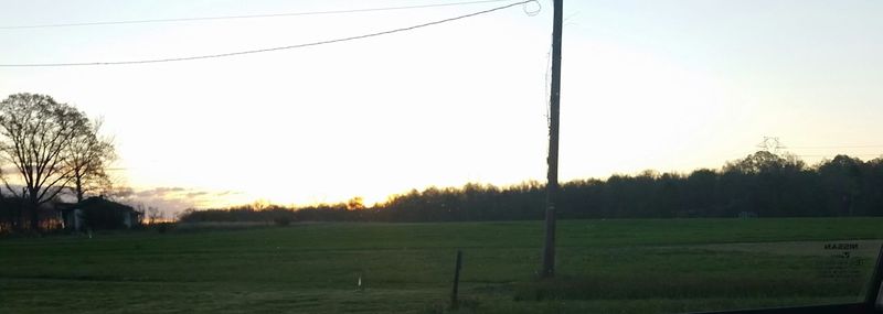 Scenic view of grassy field at sunset