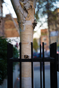 Close-up of wooden post on fence