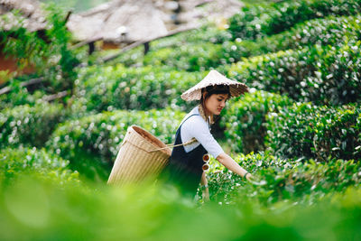 Side view of female farmer working at farm