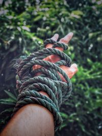 Rope wrapped in hand against plants