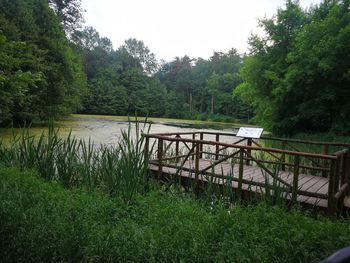 Scenic view of lake against trees