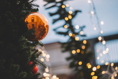 Close-up of christmas decorations