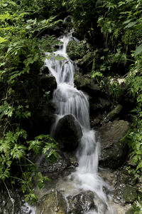 Scenic view of waterfall