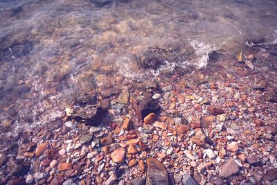 High angle view of pebbles on shore