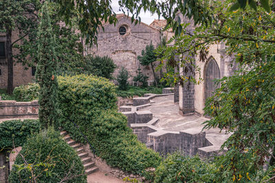 Trees in a medieval garden courtyard 