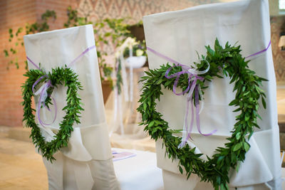 Close-up of potted plant on table