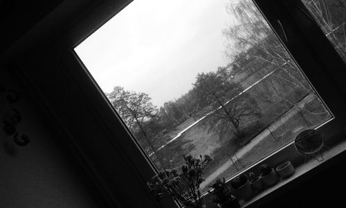 Low angle view of trees against sky