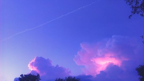 Low angle view of trees against cloudy sky