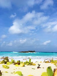 Scenic view of beach against sky