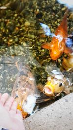 Close-up of orange wall