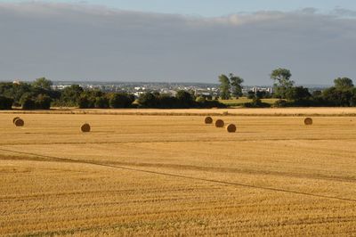 Hay bales on field against sky