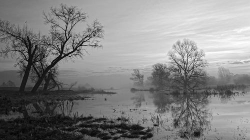 Bare trees by lake against sky