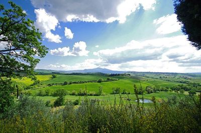 Scenic view of field against sky