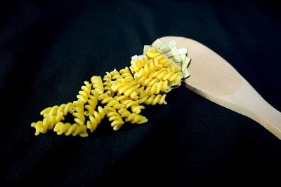 High angle view of yellow flower against black background