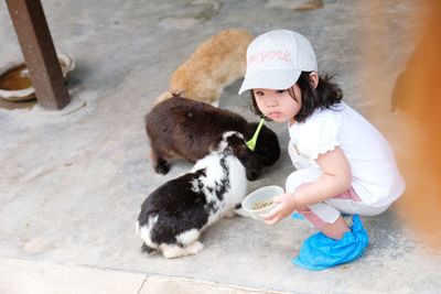 High angle view of cute girl feeding rabbits