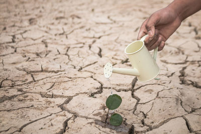 Close-up of hand holding coffee cup