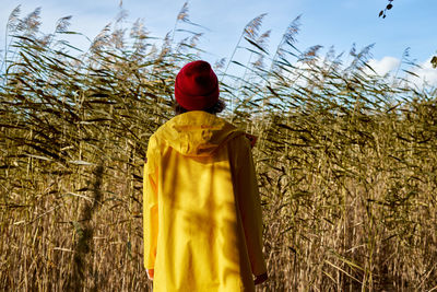 Back view of woman in bright yellow raincoat and red hat looks at reeds