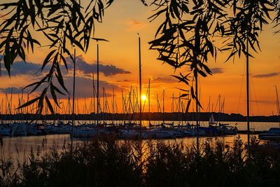 Silhouette of sailboats at sea during sunset