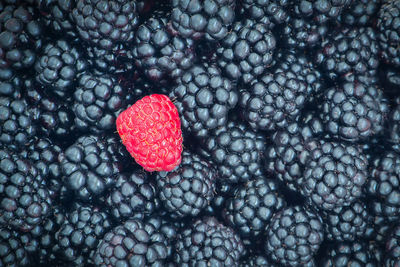 Full frame shot of strawberry