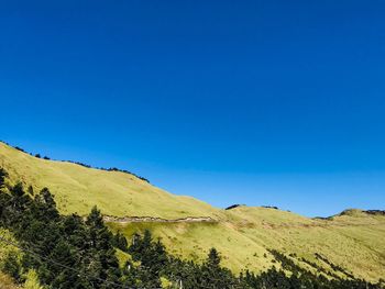 Scenic view of landscape against blue sky