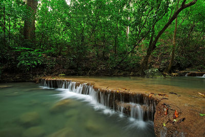 River flowing through forest