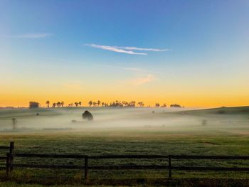 Scenic view of field against sky during foggy weather