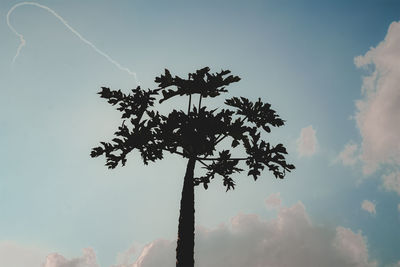 Low angle view of tree against sky