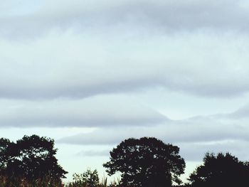 Low angle view of trees against cloudy sky