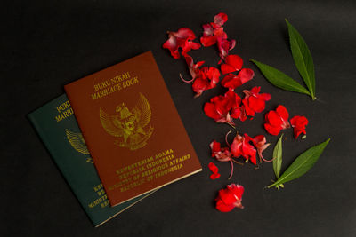 High angle view of red flowers on table