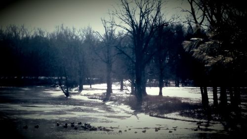 Scenic view of snow covered landscape and trees