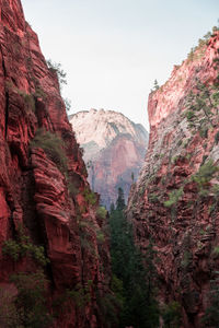 Angles rest, 
zion national park, utah