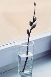 Close-up of glass of water on table