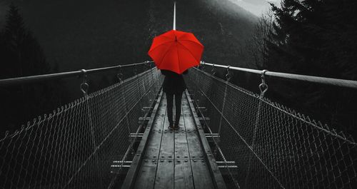 Rear view of woman standing on footbridge