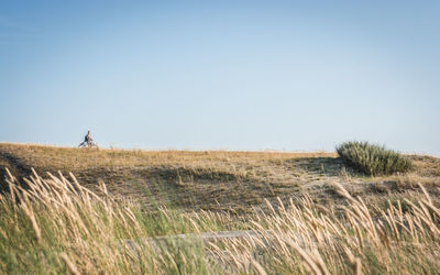 Cyclist on field against clear sky