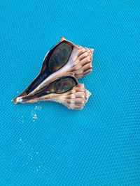 Close-up of sunglasses swimming pool