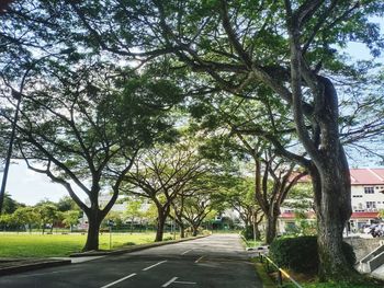 Road amidst trees in park against sky