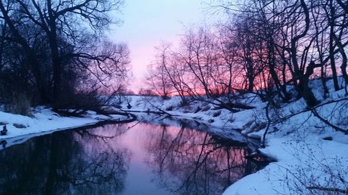 Reflection of bare trees in lake during winter