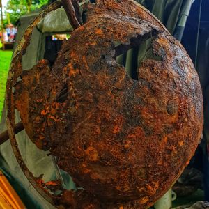Close-up of rusty metal on plant
