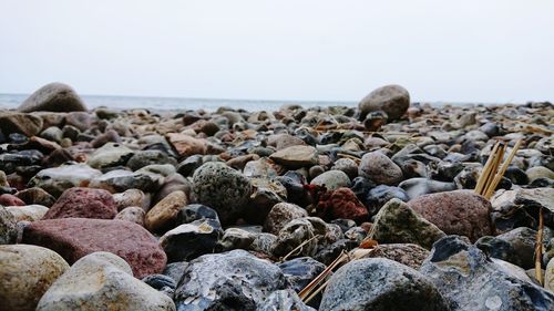 Close-up of pebbles on beach against clear sky