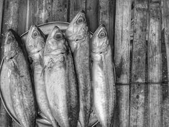 Close-up of fish for sale at market