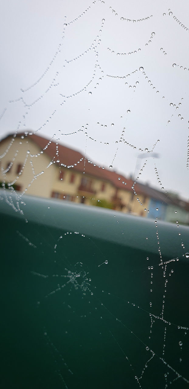 drop, fragility, water, spider web, nature, close-up, focus on foreground, no people, wet, animal, outdoors, day, macro photography, spider, rain, architecture, window, sky