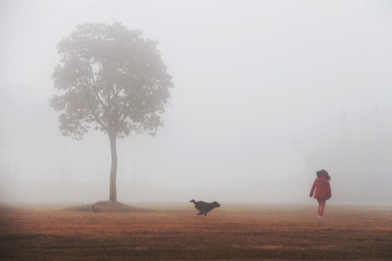 fog, foggy, tree, weather, full length, tranquil scene, tranquility, leisure activity, landscape, lifestyles, walking, rear view, nature, men, field, scenics, beauty in nature