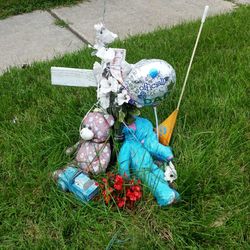 View of grassy field