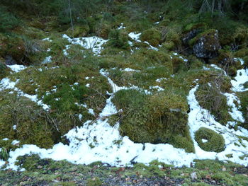 High angle view of snow on field during winter