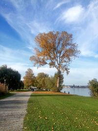 Trees on field against sky