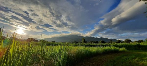 Scenic view of field against sky during sunset